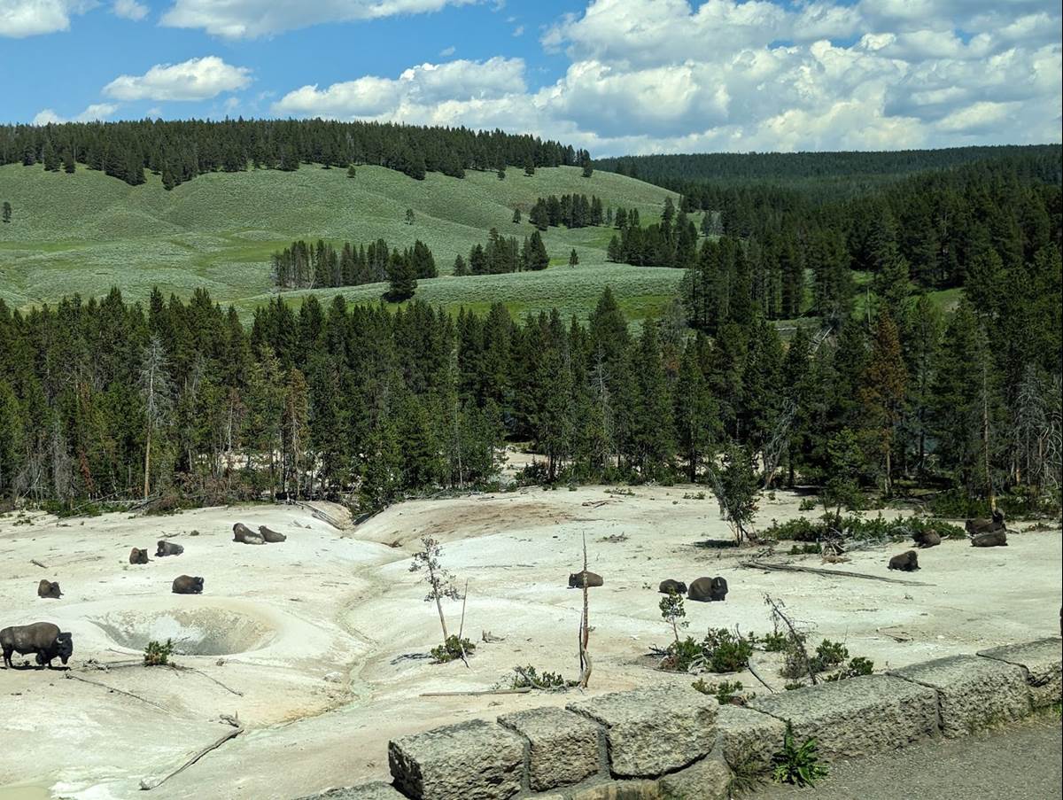 The We Saw This Larger Group