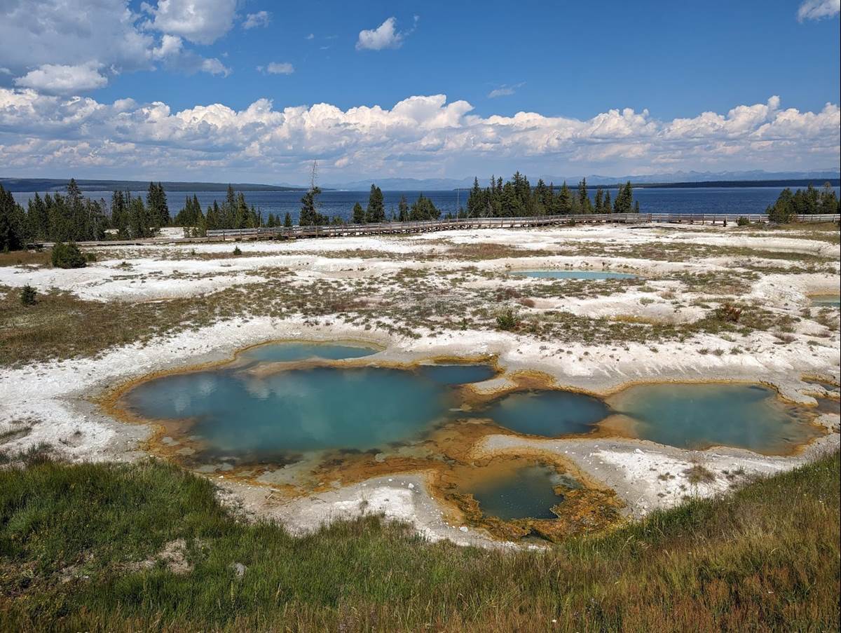 The West Thumb Geyser Basin