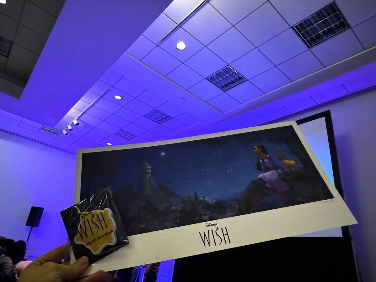 "Wish" Swag - A lightograph and Star Notepad