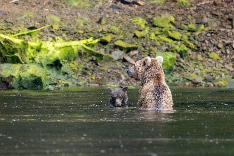 (National Geographic for Disney/Rory Dormer)