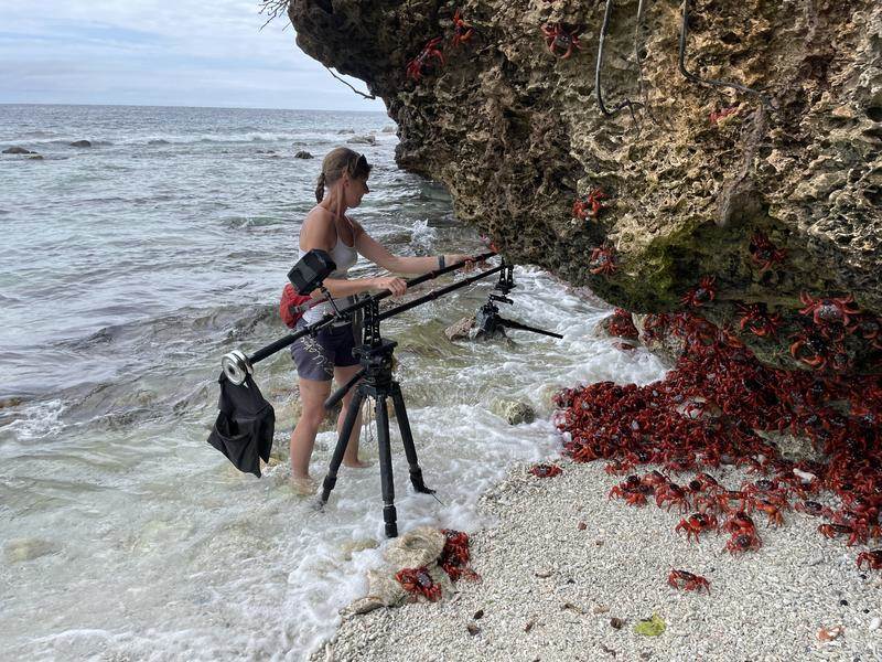 (National Geographic for Disney/Lara Van Raay)