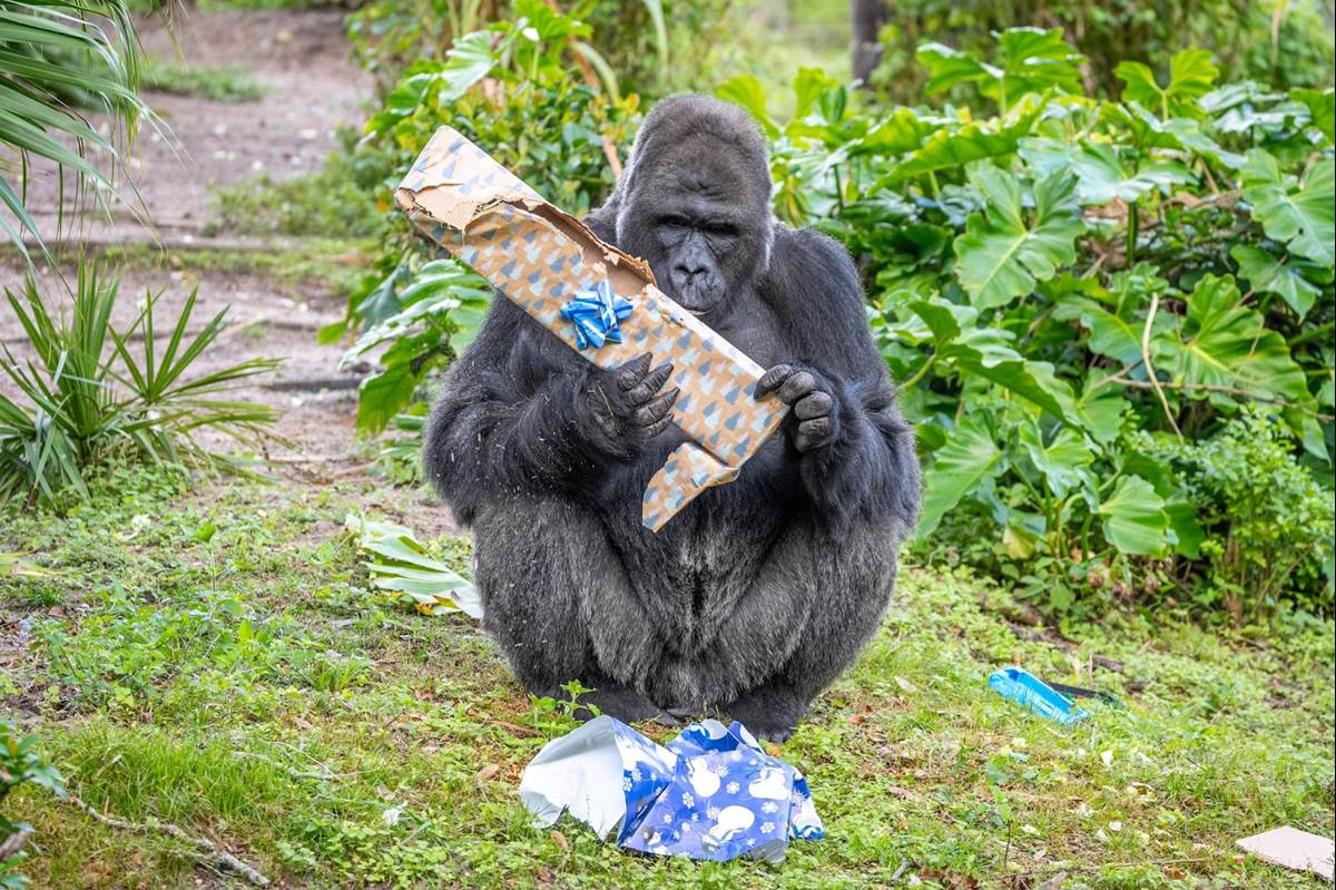 Aaron Wockenfuss/Walt Disney World