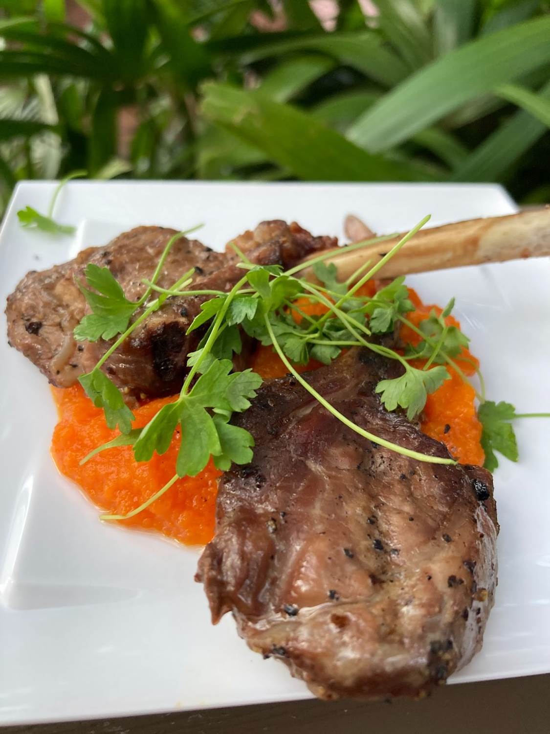 Kiwi Marinated Grilled Lamb - New Zealand