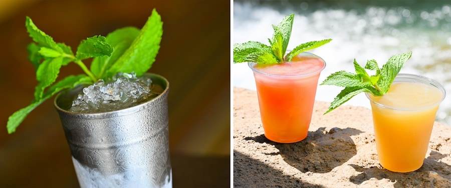 Walt Disney World Resort, Mint Juleps at Disney’s Saratoga Springs Resort & Spa