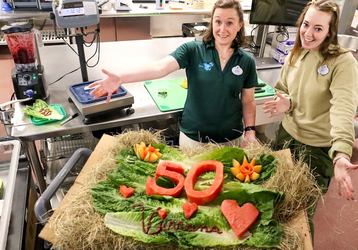 Photo Credit/Landon McReynolds