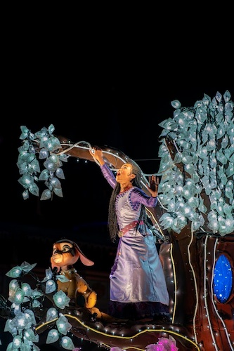 CJ Ayd, WDW Magazine