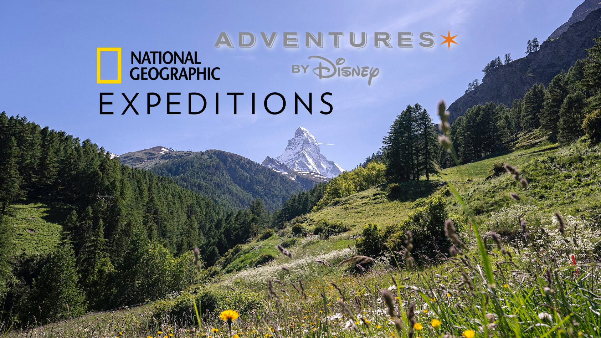 Celebrate National Plan for Vacation Day by Booking with Adventures by Disney and National Geographic Expeditions