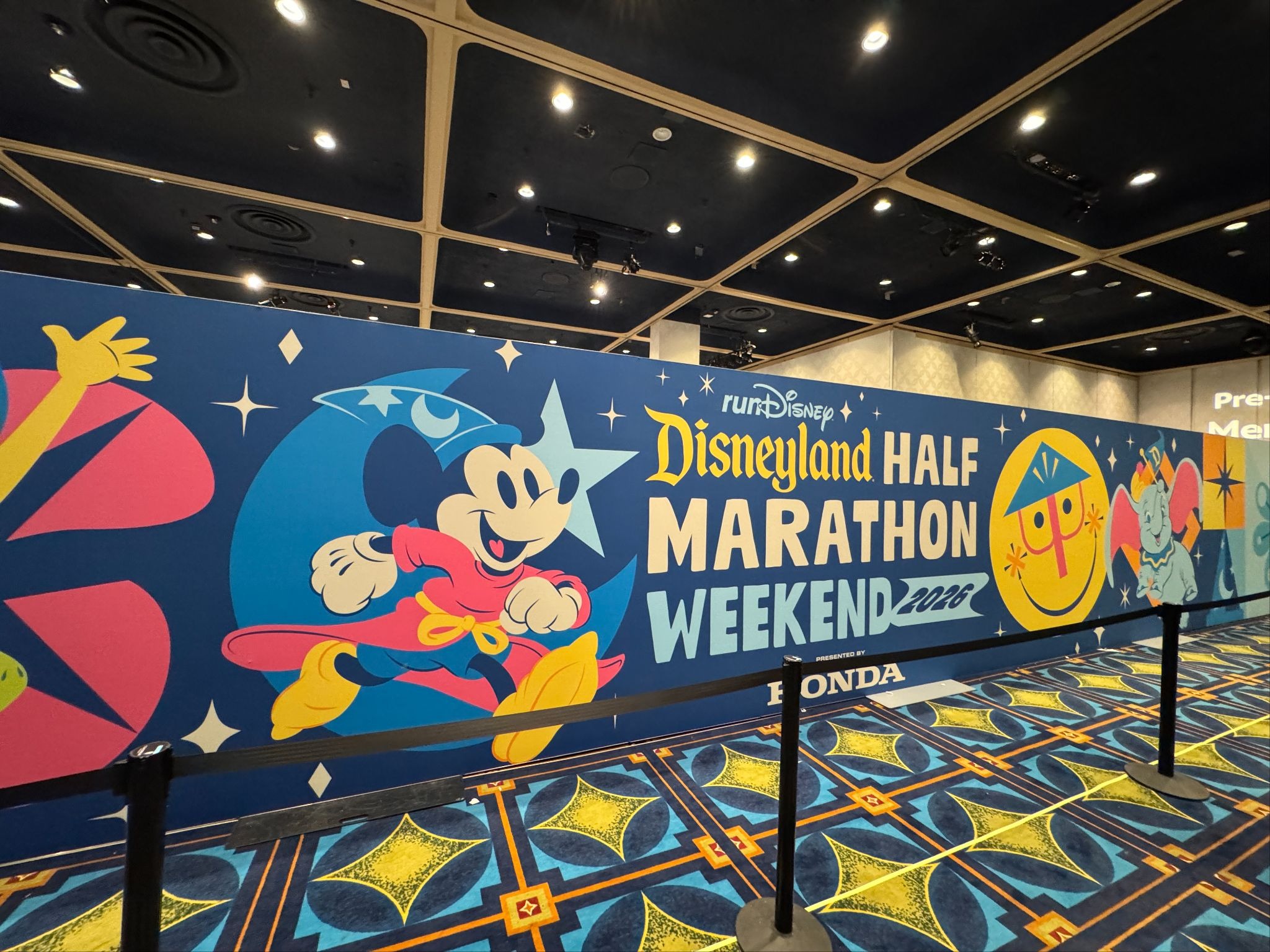 Disneyland Half Marathon