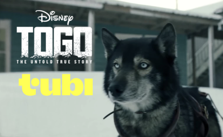 "Togo" Returns: Tubi Adding Removed Disney+ Film and More this February