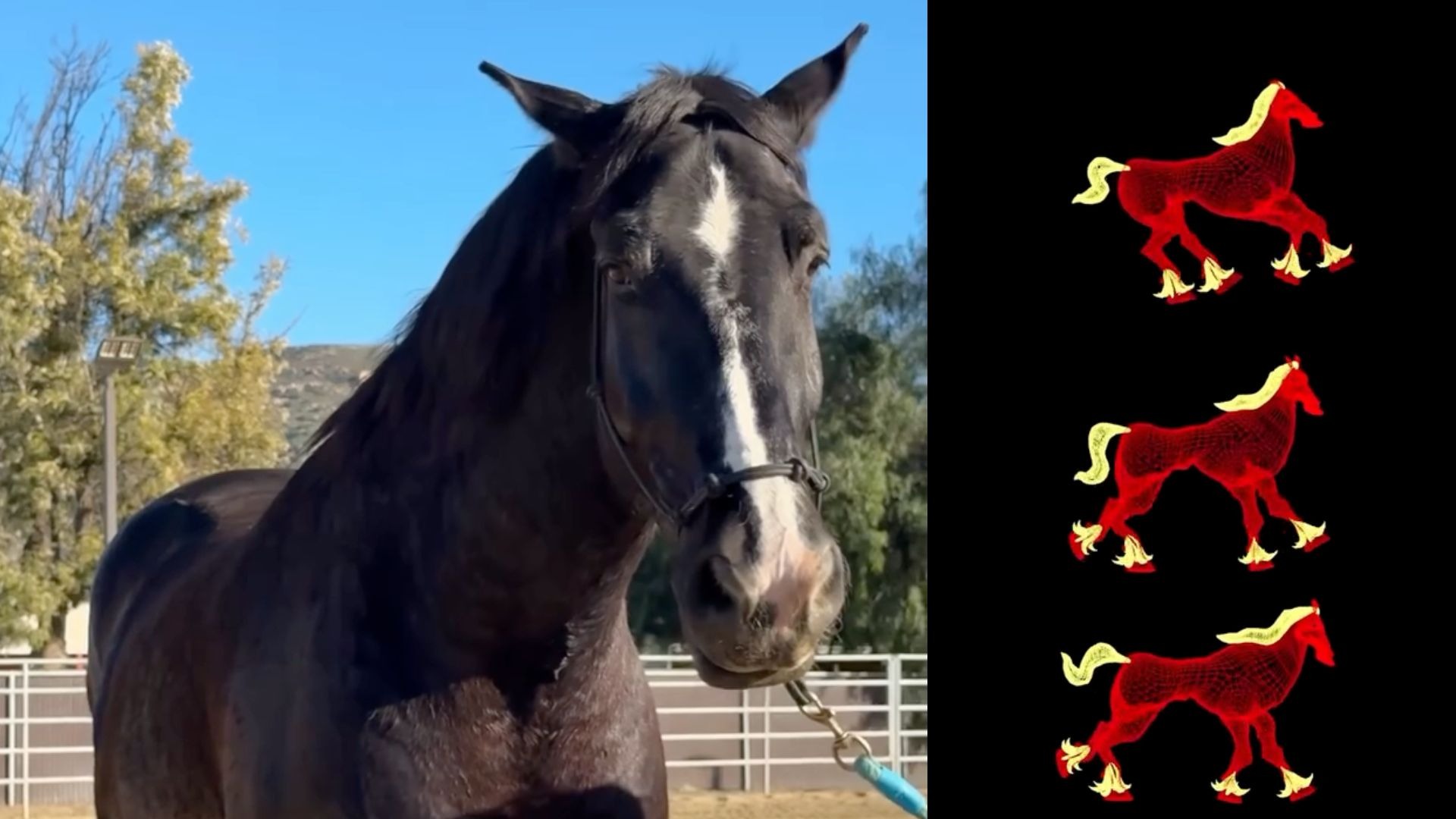 The Real Horses of Orange County: Extra Magic Featured in This Year's "Hurry Home" Lunar New Year World of Color Pre-Show