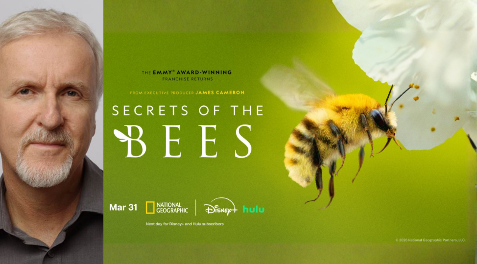 National Geographic Announces Premiere Date for "Secrets of the Bees" Docuseries