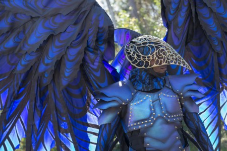 Disney Festival of Fantasy Parade Costumes Hit the Runway at Magic Kingdom: Raven