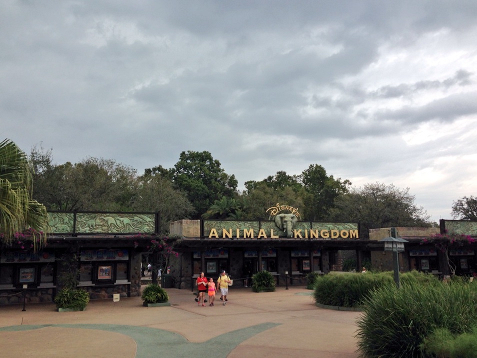 Overcast at Animal Kingdom