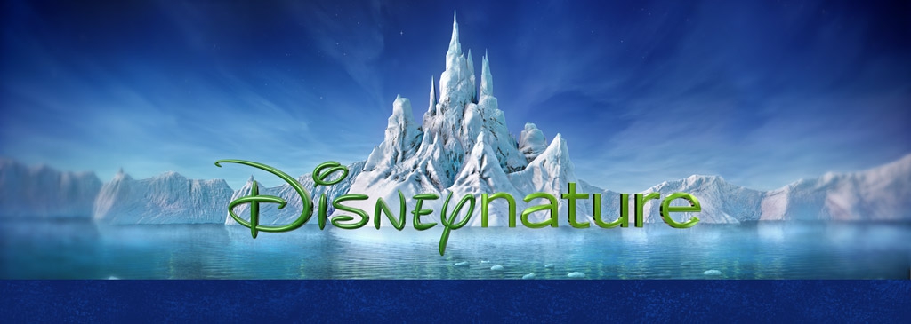 Disneynature: My Favorite Part of the Disney Company