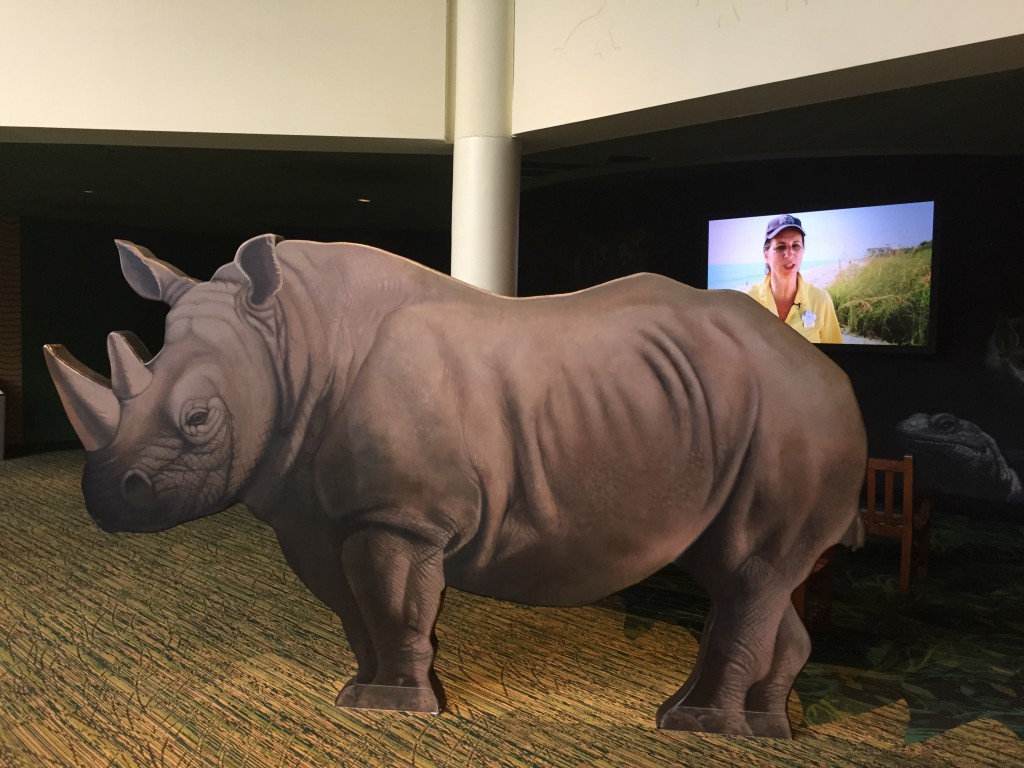 Disney's Animal Kingdom Celebrates Elephants and Rhinos! 