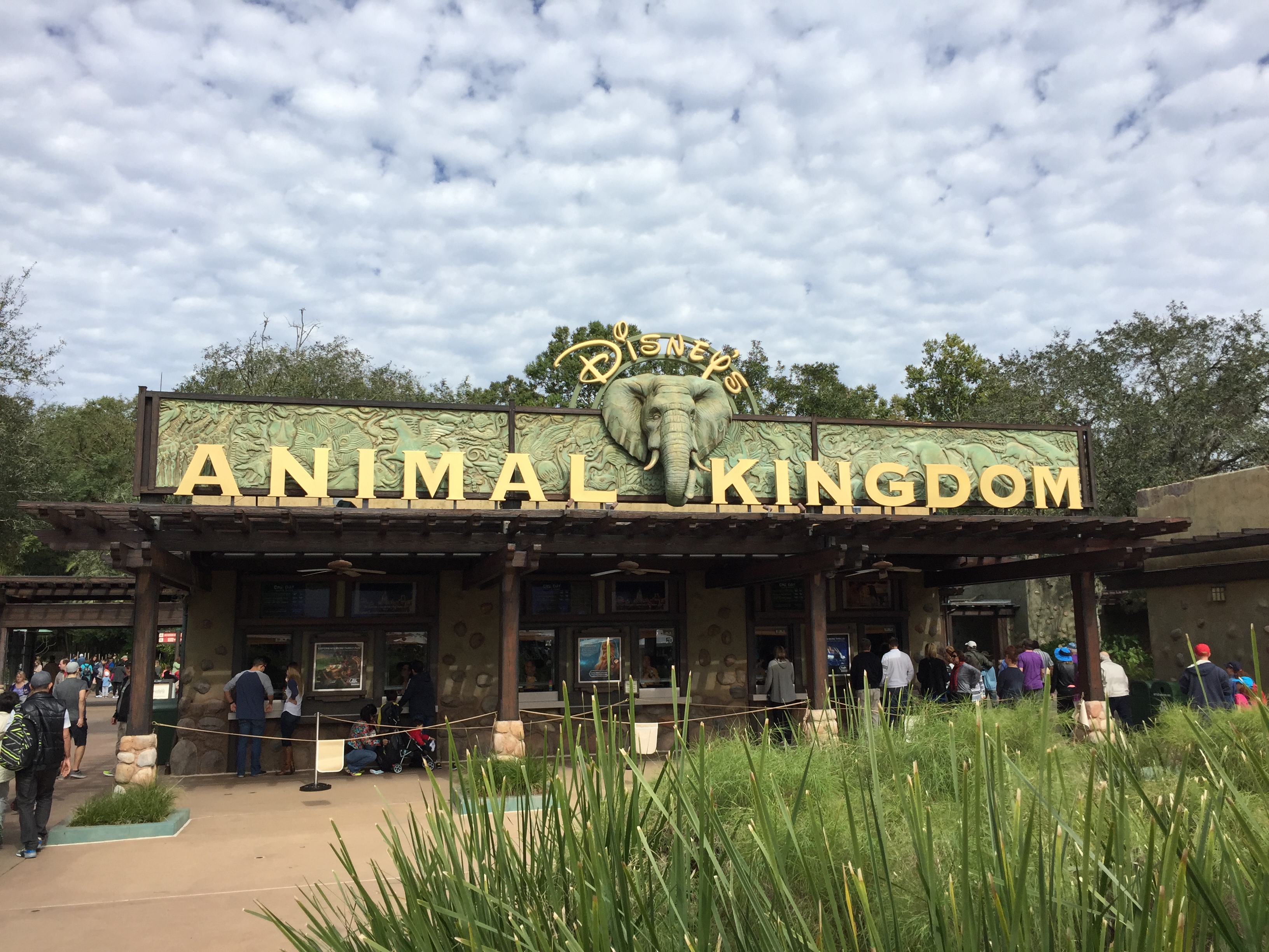 Disney's Animal Kingdom Update Including Discovering Zootopia