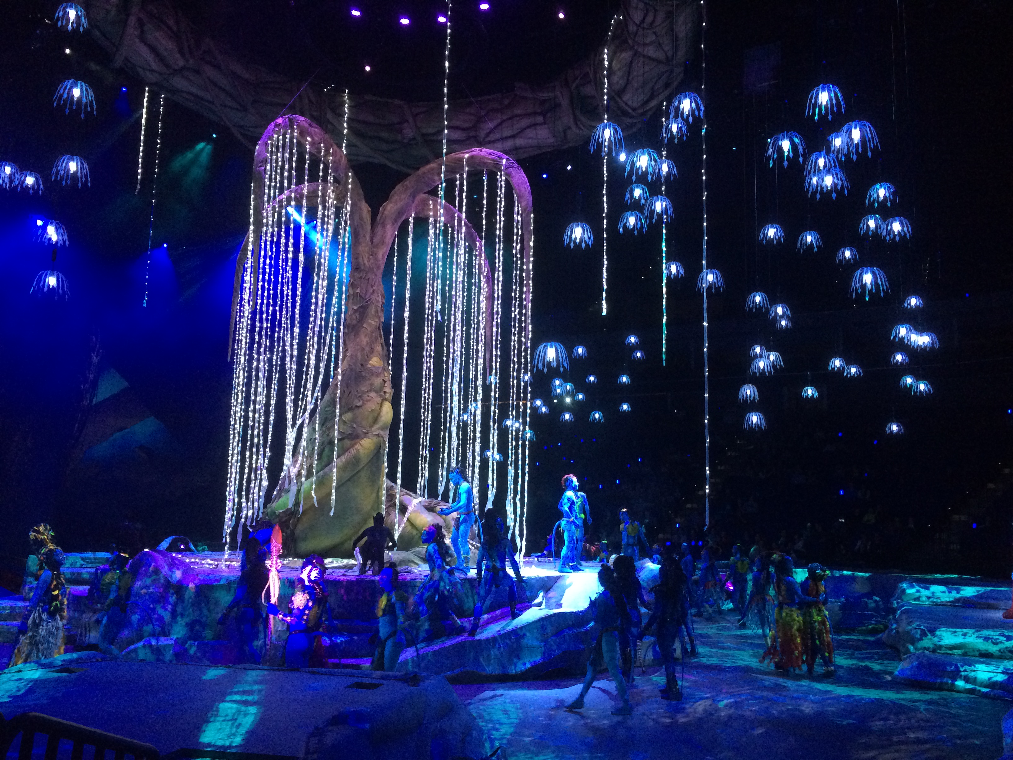 Cirque du Soleil's Toruk: A Show Perfect for Disney's Pandora