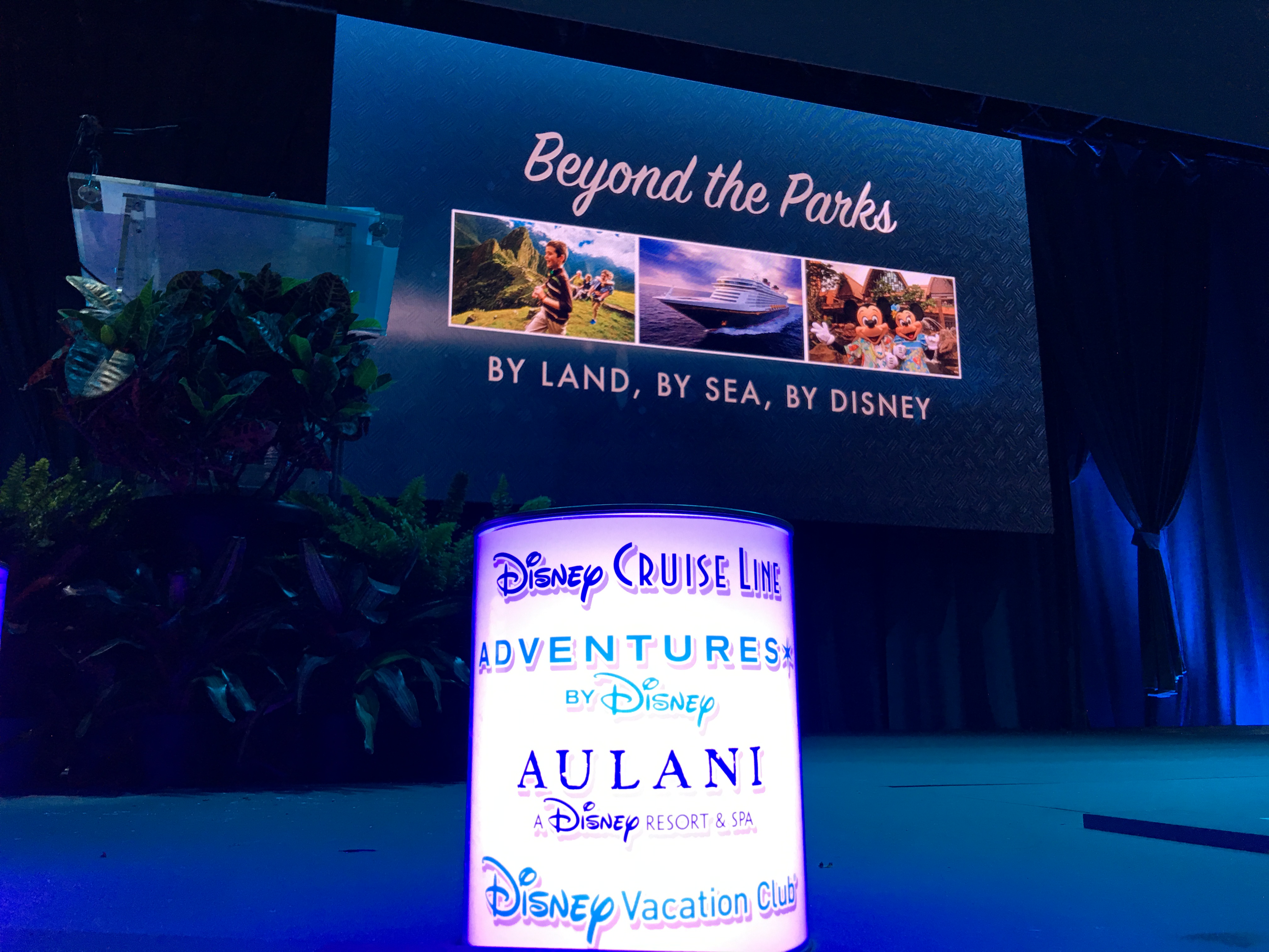 A Look at What's Coming in the World of Disney Beyond the Parks