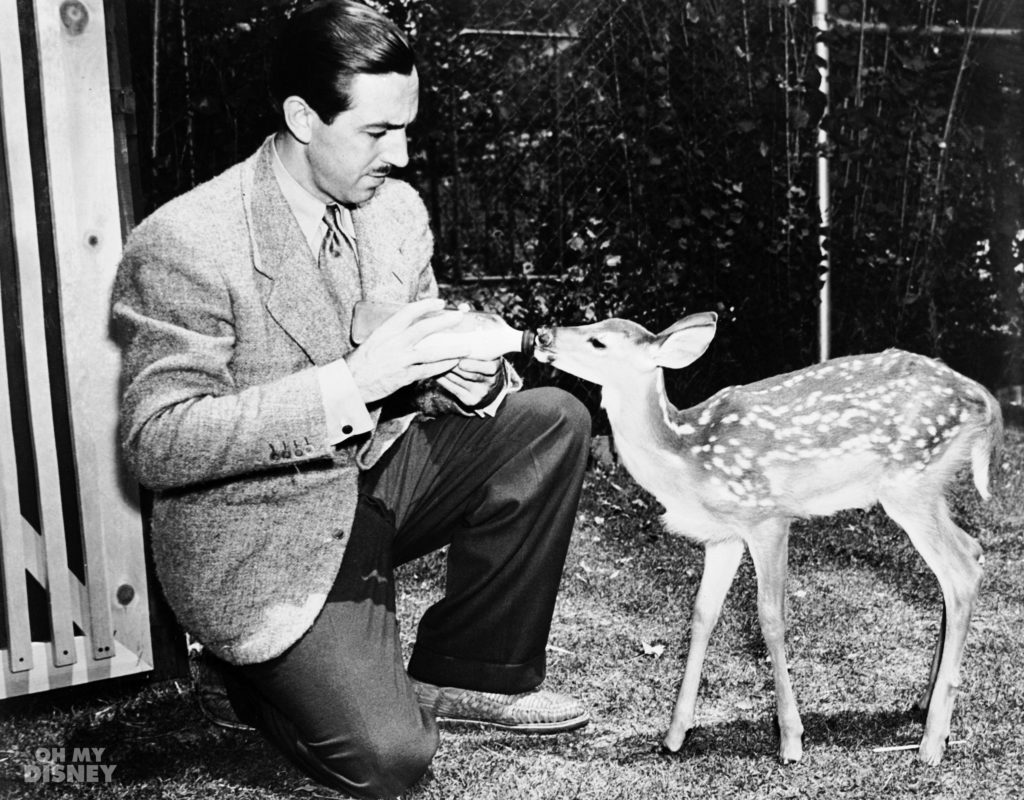 Walt-Disney-Feeds-Baby-Deer-on-Bambi