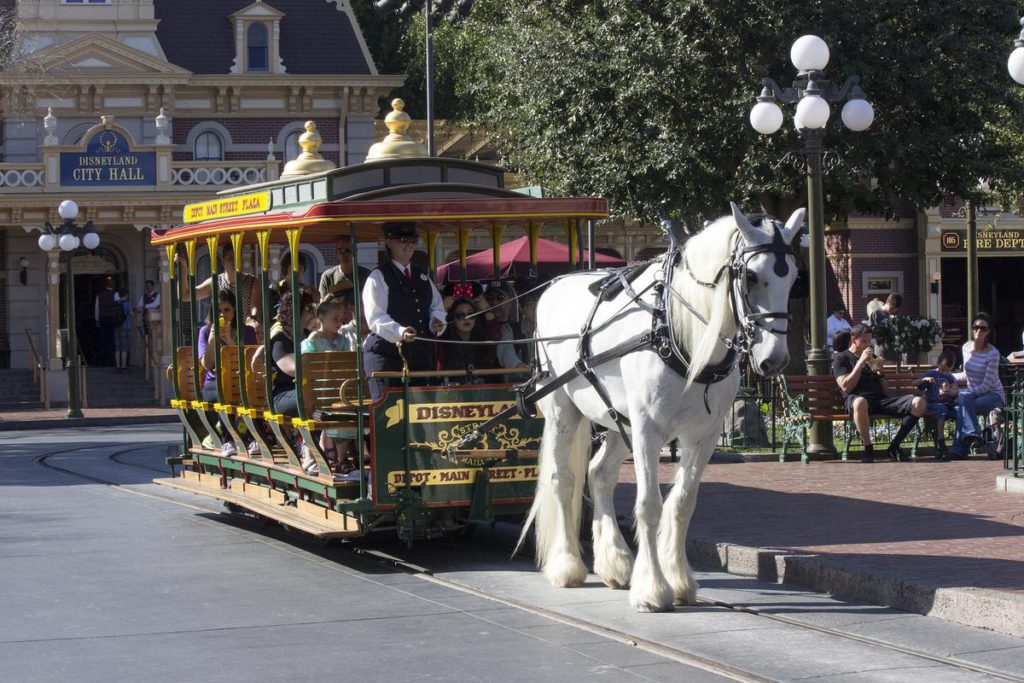 A relaxing way to ride up or down Main Street U.S.A. is to take a seat in one of the horse-drawn trolleys. They only operate during daylight hours. Originally, the trolleys had a fare box, and the fare was 10 cents. You could also use an "A Coupon" to ride the trolleys, until Disneyland eliminated the coupon books in the early 1980s. The horses only work four-hour shifts, and spend the rest of their time at the Circle D Ranch, located just north of Frontierland on the other side of the berm. The horses that pull the trolleys could be one of five types: Belgians, Percherons, Clydesdales, Brabants or Shires. The trolleys have changed very little over the years, other than some very small details in the paint scheme. //// ADDITIONAL INFORMATION: Generic photos of various Disneyland attractions, shops and restaurants as they appear in 2015. Disneyland.timelines.xxxx - 2/17/15, - MARK EADES, STAFF PHOTOGRAPHER
