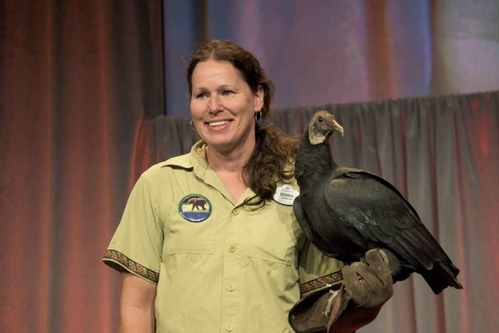 A black vulture from Disney’s Animal Kingdom joins Dr. Scott Terrell, Director, Animal and Science Operations, as he shares how his team has prepared animals for the extended nighttime hours at Disney’s Animal Kingdom. (Disney)