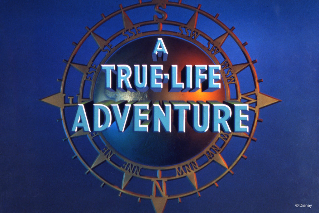 A TRUE-LIFE ADVENTURE –– Considered the first nature documentaries, Walt Disney’s True-Life Adventures consisted of 13 films that celebrated the magic of nature with a unique Disney touch. (Disney)