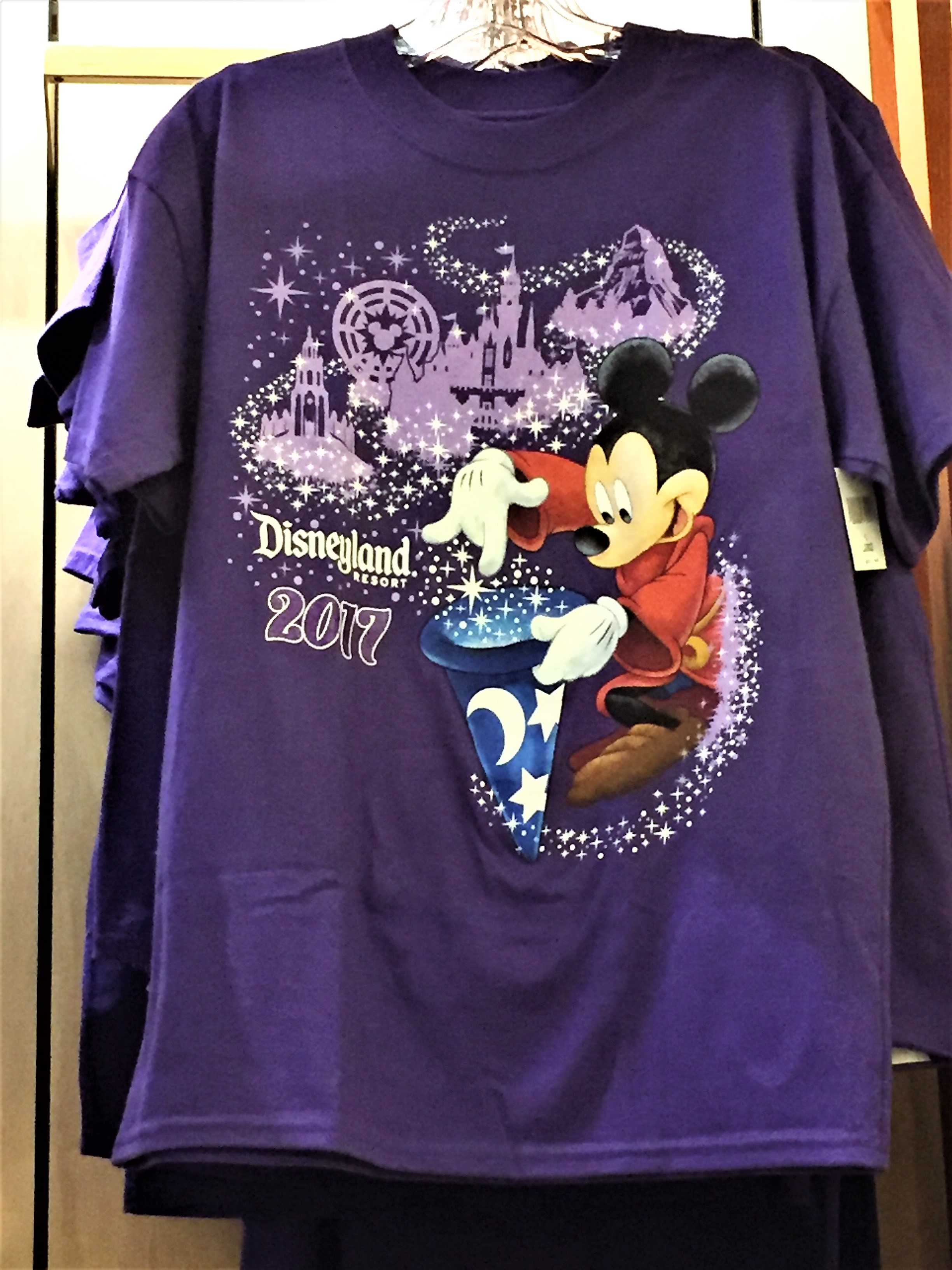 to 2017 Disneyland Merchandise
