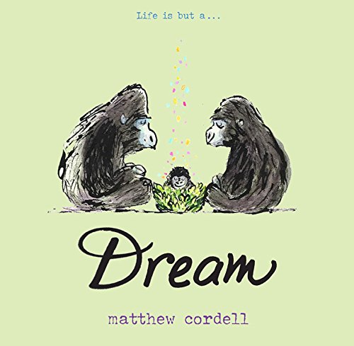 Children's Book Review: Dream by Matthew Cordell 