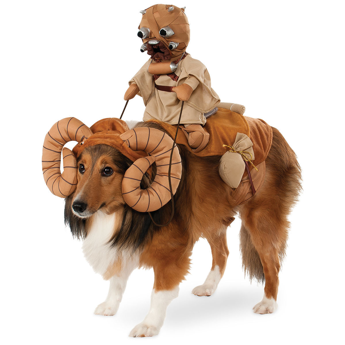 Halloween Dog Costumes