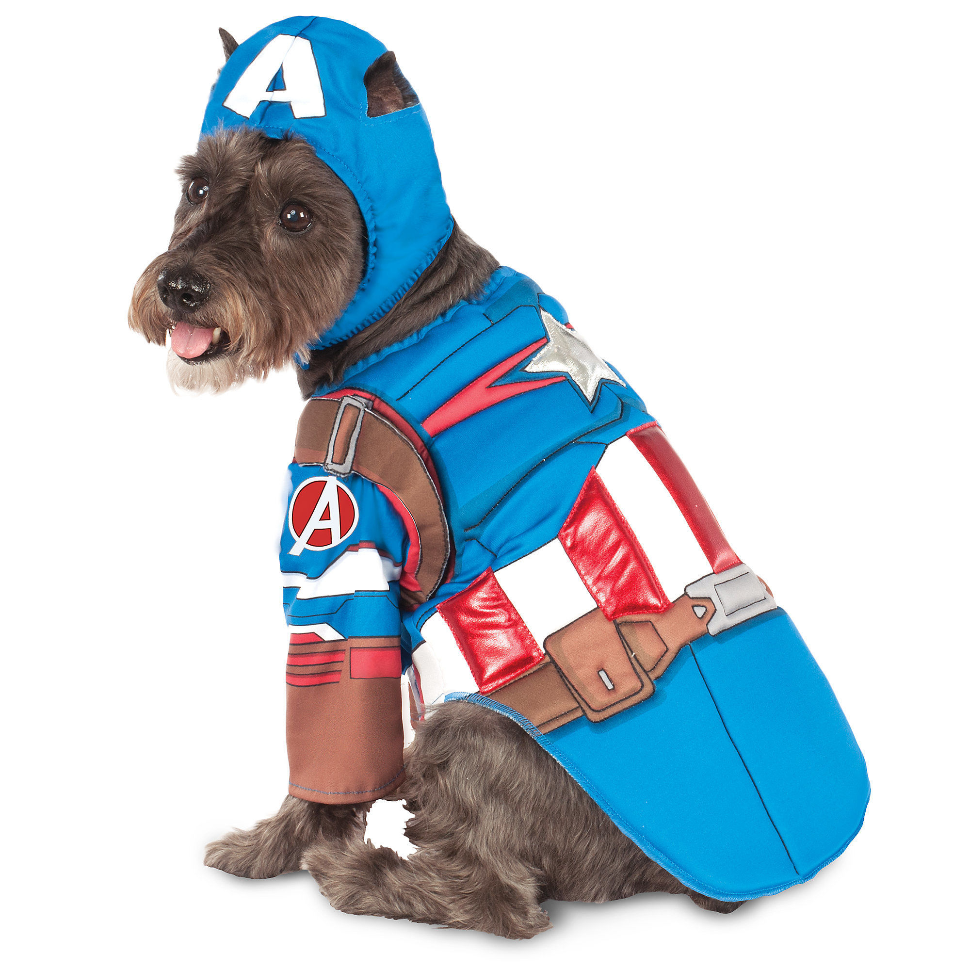 Complete Your Group Look with These Halloween Dog Costumes
