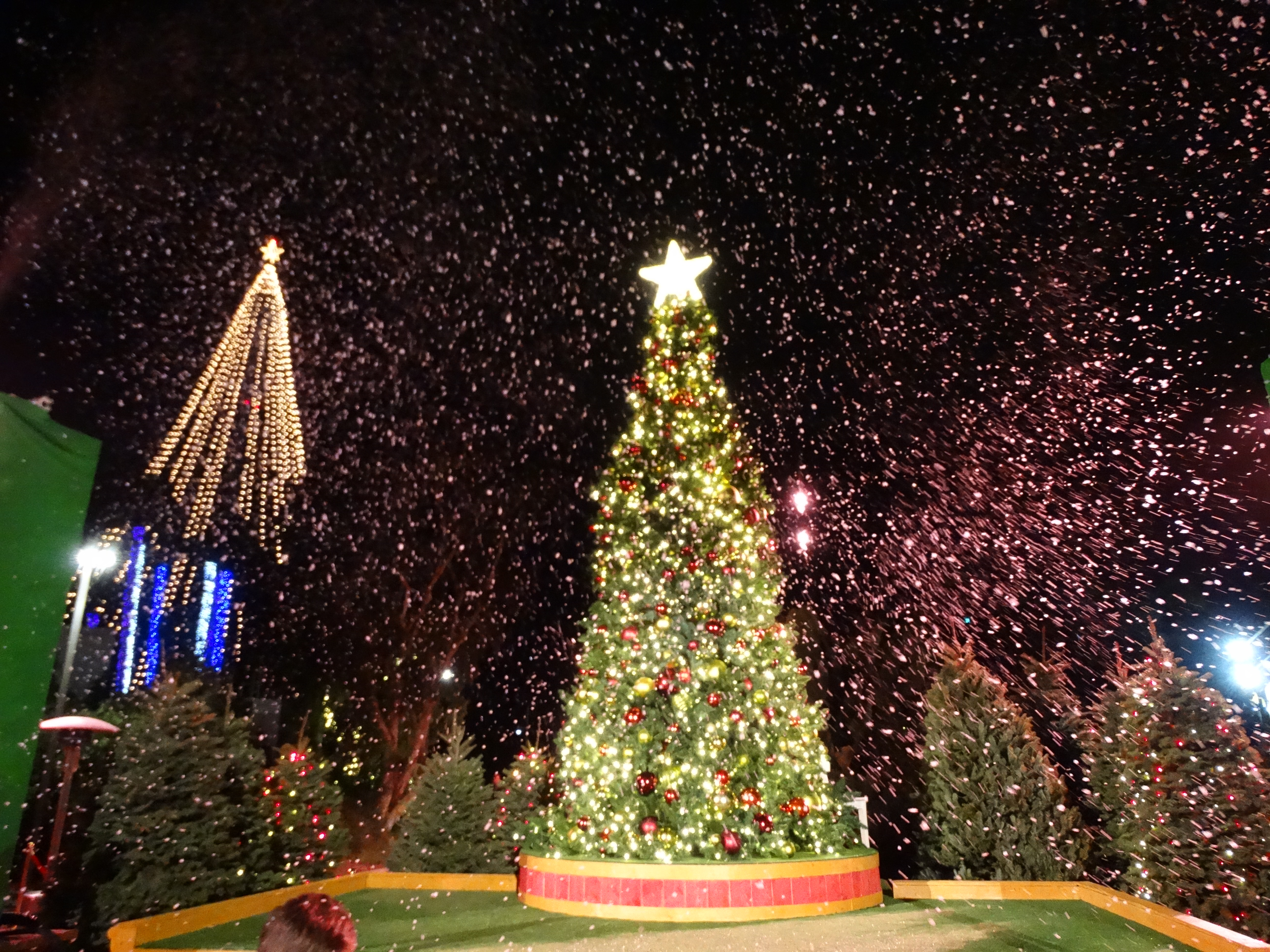 Sea World San Diego Christmas 2022 Seaworld Christmas Celebration Brings Rudolph & Santa To San Diego