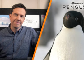 Disney Announces Ed Helms as Narrator for Disneynature's "Penguins"
