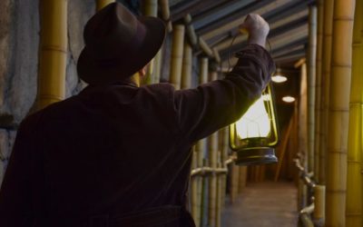 Disneyland Offering Indiana Jones Adventure Queue Tours During Ride's Refurbishment