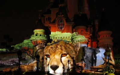 Disneynature Projection Show Returning to Disneyland Paris