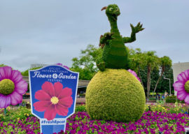 Photos: Epcot International Flower & Garden Topiary Tour
