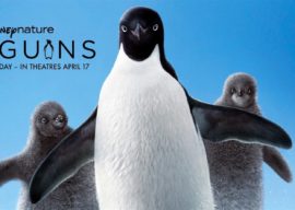 Film Review: Disneynature's "Penguins" is a Beautiful, Fun, Informative Documentary for Beginners