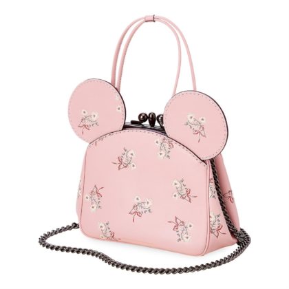Spring Shopping Spree, New COACH Bags Arrive on shopDisney ...