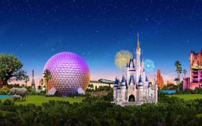 Union Representing Walt Disney World Cast Members Gets New Leadership