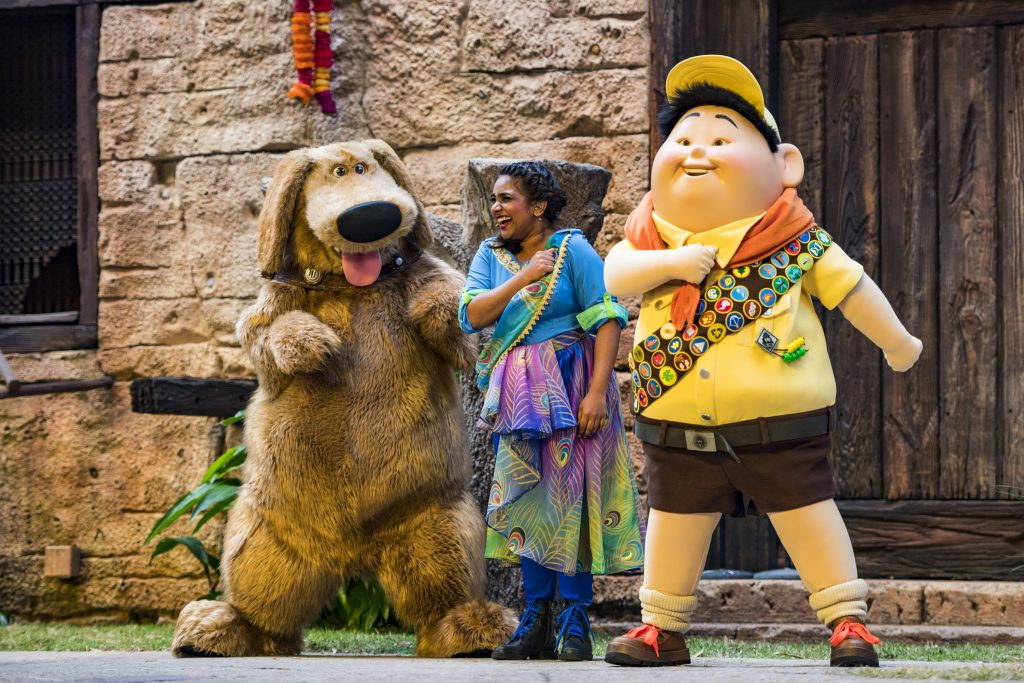 up a great bird adventure