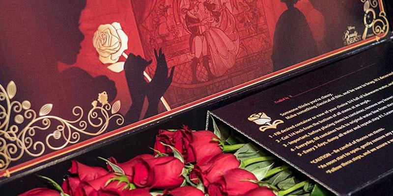 Disney World for Adults, Disney Diaries, Coming Up Roses