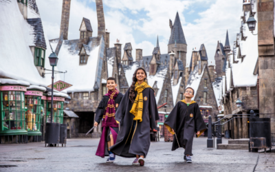 Universal Orlando Resort Launches Social Media Sweepstakes to Visit the Wizarding World of Harry Potter