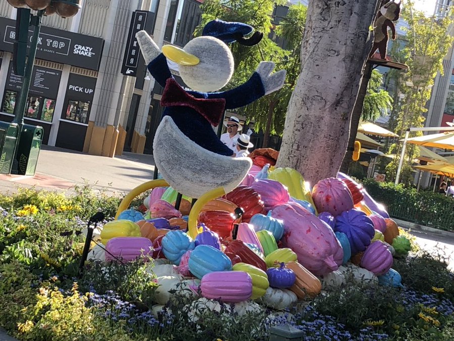 Photos: Halloween Time Arrives at Disneyland Resort