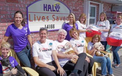 Disney VoluntEARS Donate Linens and Love to Rescue Animals at H.A.L.O. Animal Shelter