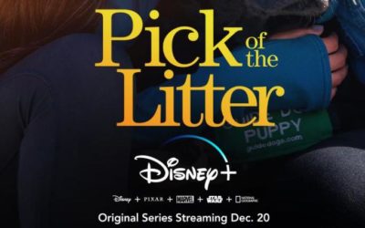 Disney+ Announces Docuseries "Pick of the Litter" to Start Streaming December 20