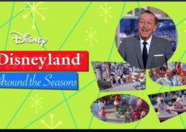 Disney+ Watch Guide: Week of November 29th, 2019 – Walt Disney's Birthday Edition