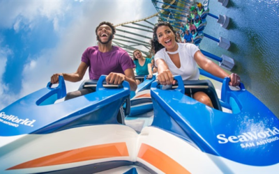 SeaWorld Parks and Entertainment Offers Veterans Special Offers This Holiday Weekend and Beyond