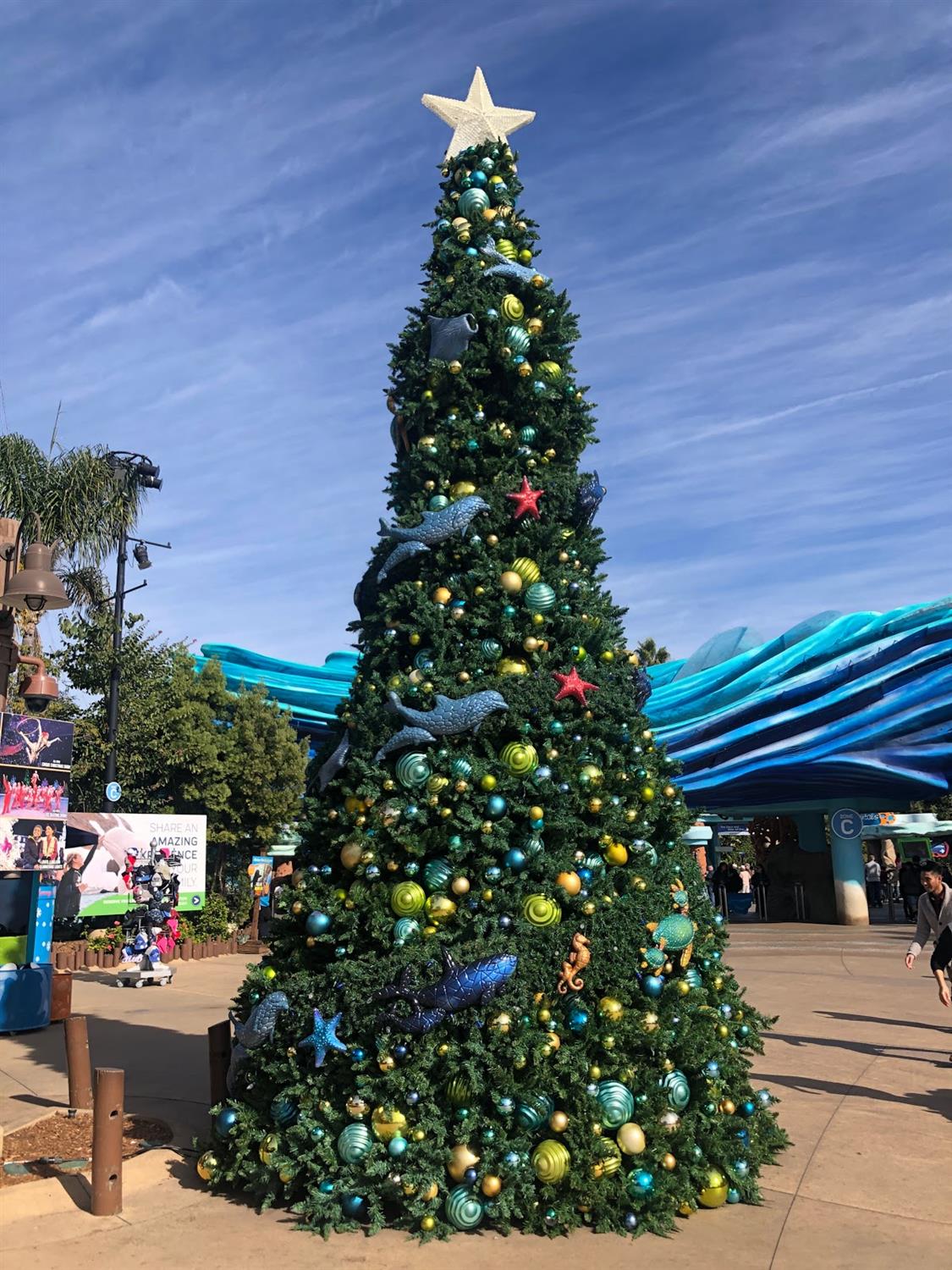 Video/Photos SeaWorld San Diego Celebrates its 2019 Christmas
