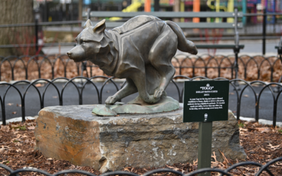 Hero Sled Dog Togo Honored With Statue in Disney Renovation of a New York City Park