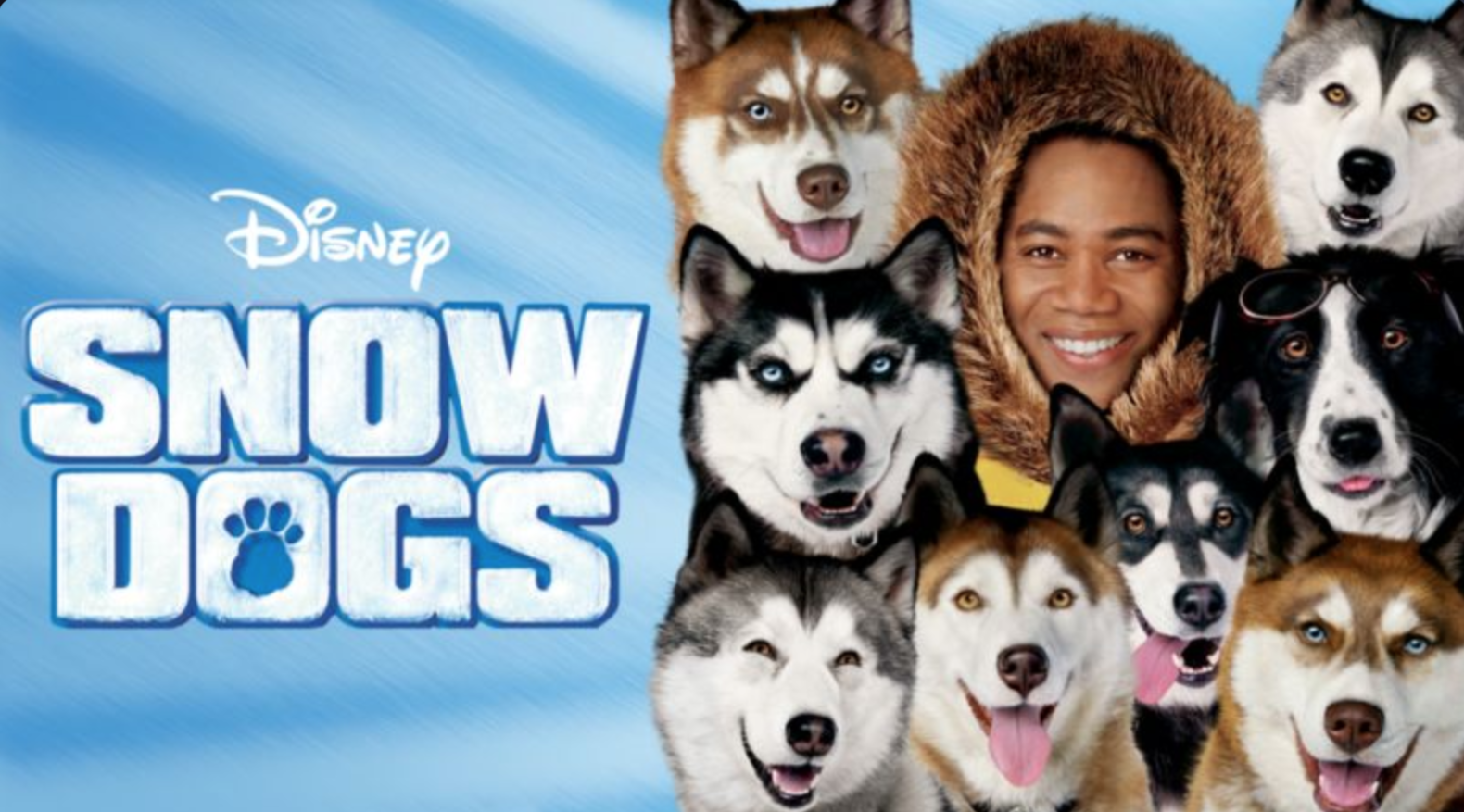 Heroic Dog Stories on Disney+ In Celebration of "The Call of the Wild