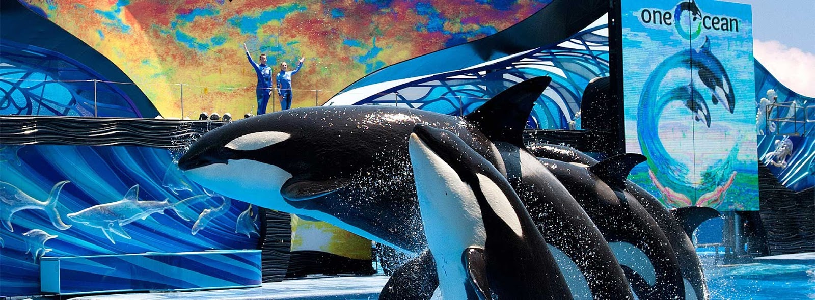 Seaworld Busch Gardens Temporarily Closing All Theme Parks